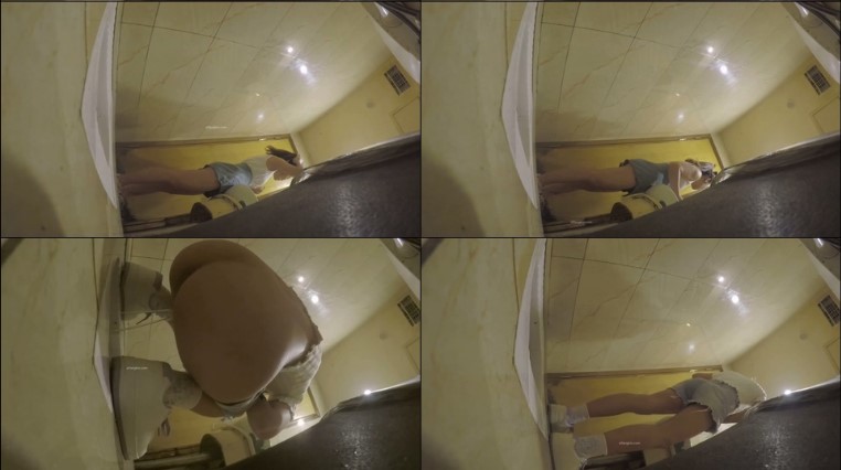 十一月最新流出私房偷拍大神 晓月原创朋友聚会KTV厕拍03-网红脸+香菜妹妹