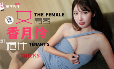 兔子先生 TZ-141 長腿女房客的詭計