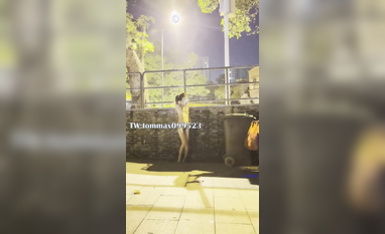 戶外露出系列 (6)